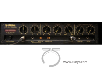 Enlarged view of image